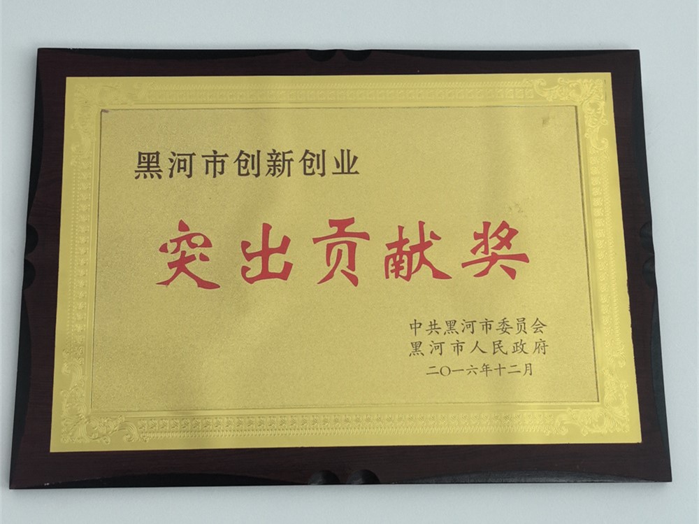 突出贡献奖.jpg